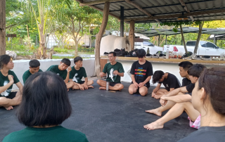 Youth mentoring and coaching